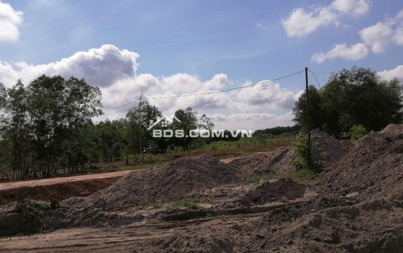 cần bán đất cây lâu năm,sổ riêng chính chủ